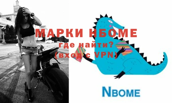 индика Аркадак