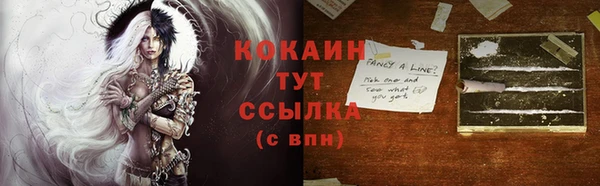 индика Аркадак