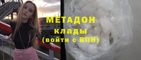 индика Аркадак