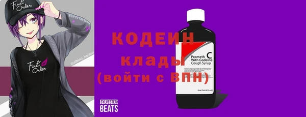 индика Аркадак