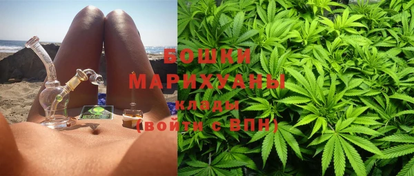 индика Аркадак