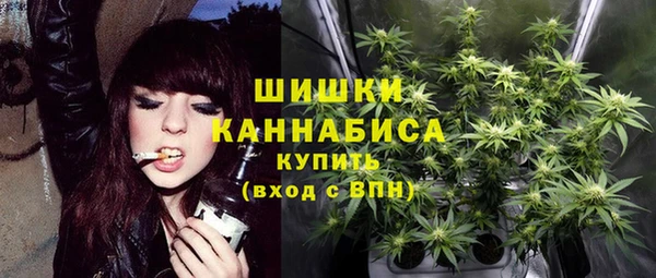 индика Аркадак