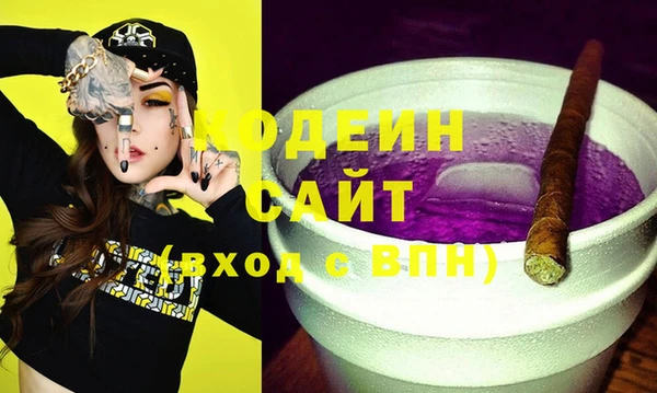 индика Аркадак