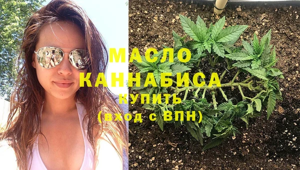 индика Аркадак