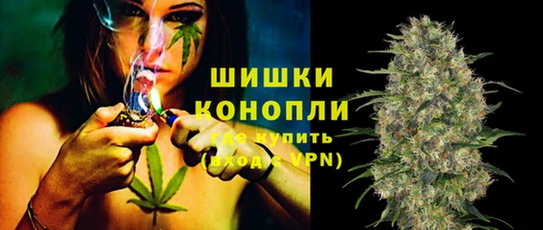 индика Аркадак