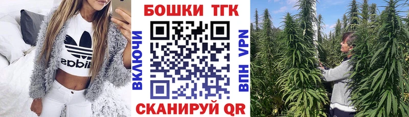 Шишки марихуана план  Олонец 